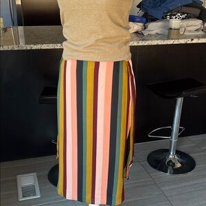 Striped Multicolor Skirt